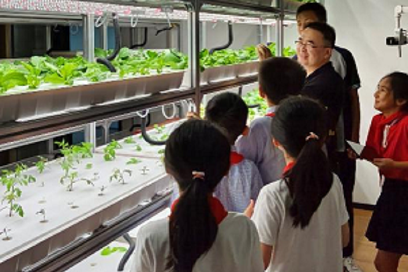 郑州AG尊时凯龙人生就博官方网站电子设计创新实验室开放参观！中小学生现场观看操作无土栽培新技术